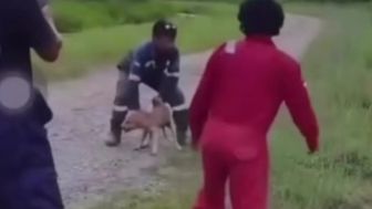 Lempar Anjing ke Sungai Berisi Buaya, Para Pelaku Diduga Pegawai Konstruksi di Kaltara