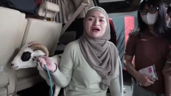 Nathalie Holscher Gendong Kambing di Atas Mobil Alphard, Demi Bahagiakan Adzam