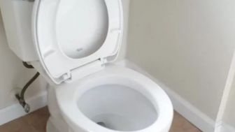 Toilet Jongkok atau Toilet Duduk, Mana Lebih Baik?