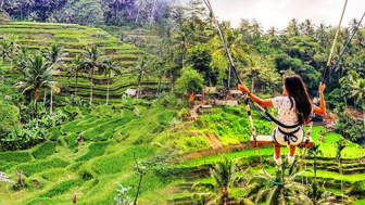 Bali Swing Ubud, Pacu Adrenalin di Atas Panorama Sawah Bertingkat