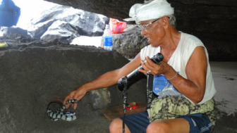 Misteri Ular Suci Tanah Lot : Bisanya Lebih Mematikan dari Kobra Tapi Tak Pernah Merenggut Nyawa