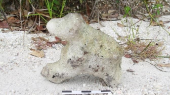 Batu Unik Berbentuk Anjing di Kaltim dan Mitos yang Dipercaya