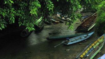 Mengenal Taman Nasional Kayan Mentarang, Ada Ratusan Jenis Flora dan Fauna