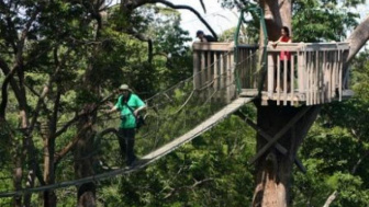 Hutan Wanawisata, Destinasi Wajib di Balikpapan Bagi Pecinta Alam