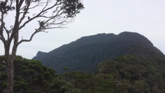 Mengenal Gunung Bukit Raya, Gunung Tertinggi di Pulau Kalimantan