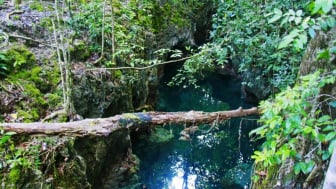 Menikmati Jernihnya Gua Haji Mangku, Wisata Tersembunyi di Pulau Maratua