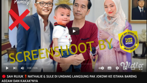 CEK FAKTA: Sule Rujuk dengan Nathalie Holscher sampai Diundang ke Istana Negara