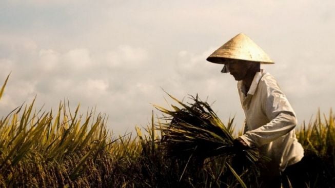 Jokowi Beri Instruksi ke Mentan untuk Kembangkan Penggunaan Pupuk Organik