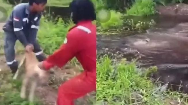 Tiga Pria Buang Anjing ke Sungai Dimakan Buaya Jadi Tersangka dan Ditahan