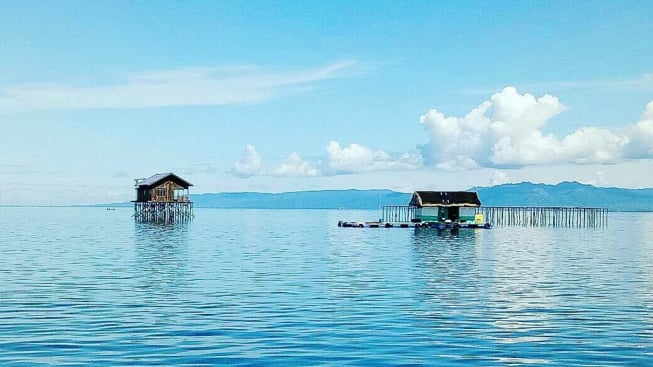 Wisata Bahari di Pulau Miang, Pernah Ditemukan Hiu Tutul Langka