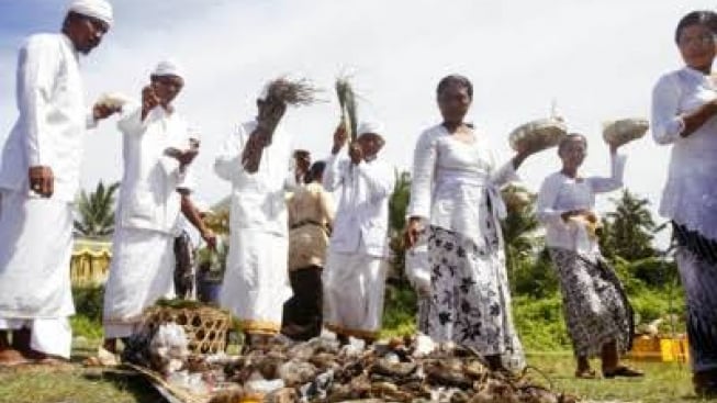 Kenali Tradisi Unik di Bali, Ngaben Tikus