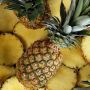 Cara Mudah Menghilangkan Bau Pada Miss V Menggunakan Bahan Alami
