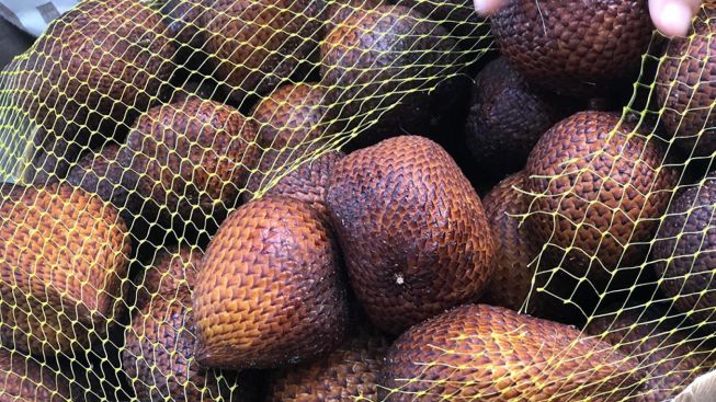 Viral! Awalnya Dianggap Buah Aneh, Salak Kini Jadi Buah Langka dengan Harga Fantastis di Negeri Tetangga