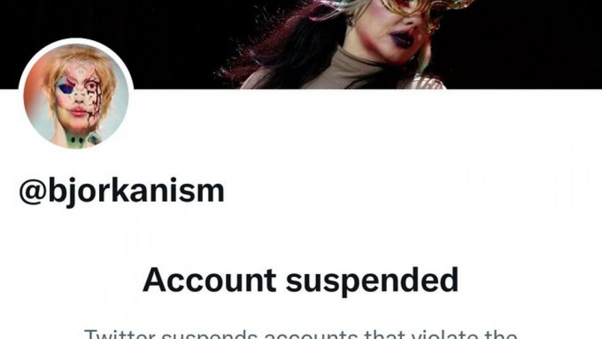Akun Twitter Bjorka ditangguhkan setelah membuat heboh publik. [Foto Istimewa - Tangkapan Layar Twitter]