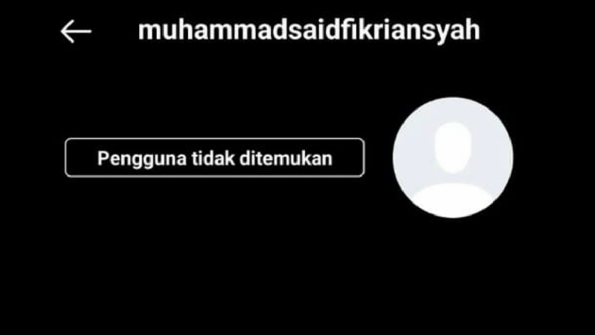 Akun instagram yang diduga sebagai identitas asli dari Bjorka menurut akun Instgaram Volt-Anonym [Foto Istimewa - tangkapan Layar]
