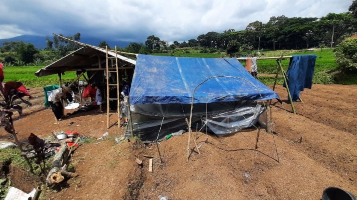 Korban Gempa Cianjur yang rumahnya rusak mendirikan tenda di tengah sawah. Pihak Tim Gabungan penyelamat minta masuk ke posko pengungsian [Foto: Suara.com - Egi Abdul Mugni]