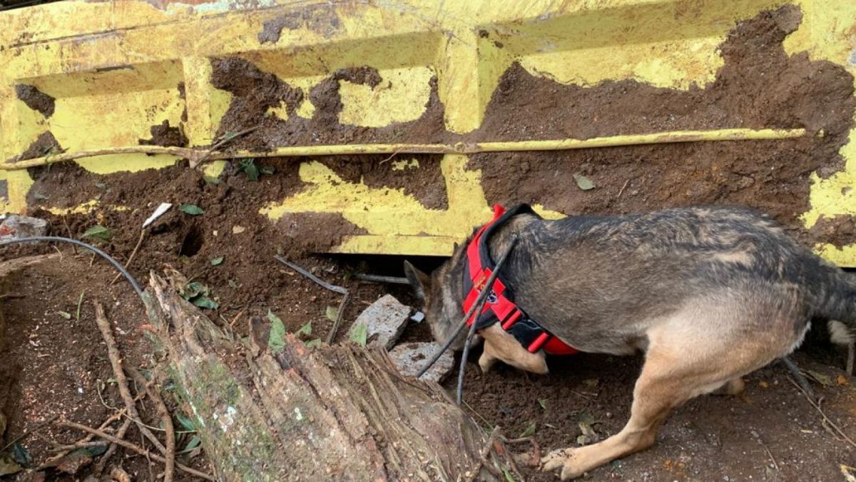 Anjing pelacak K9 dari Polri mencium sumber bau di titik yang diperkirakan ada korban tertimbun longsor [Foto : Humas Polda Jabar]