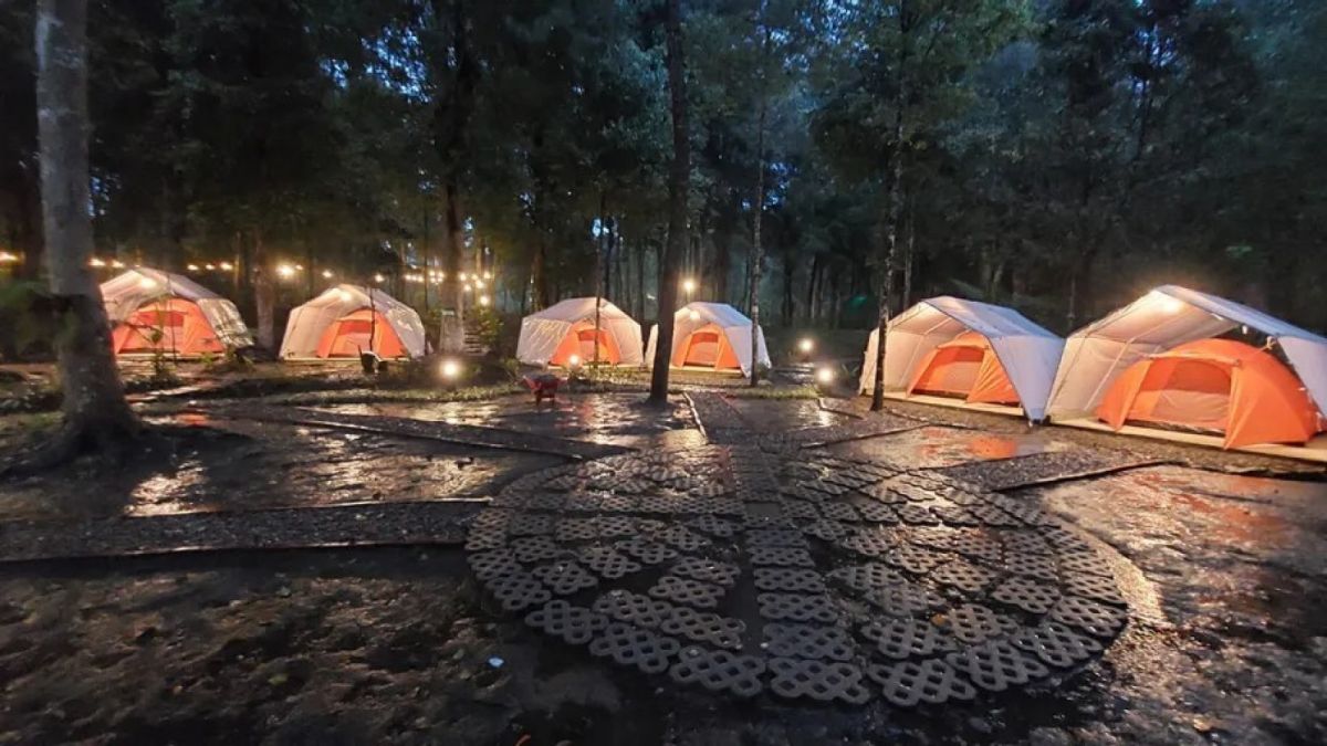 Camping Ground Hejo Forest