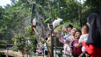 Serunya Mengenal Sejarah Kebun Binatang Bandung