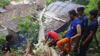 Menikah di Kantor KUA Sukaresmi Cianjur sepertinya Harus Ditunda, Atapnya Rusak Berat Tertimpa Pohon Durian