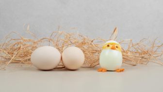 Ayam Dulu, atau Telur Dulu? Ini Jawabannya Kata dr Zaidul Akbar