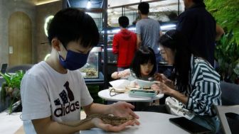 Yap Ming Yang, Pemilik Kafe Reptil di Kuala Lumpur yang Menyediakan Pengalaman Tak Terlupakan