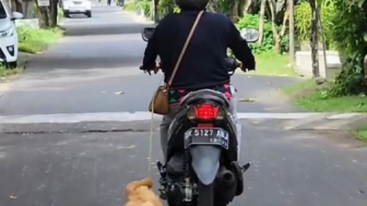 BIADAB! Video Viral Memperlihatkan Anjing Diseret dengan Motor, Netizen Murka