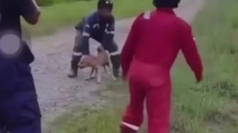 3 Pria Pelaku Pelempar Anjing ke Buaya Hidup-Hidup Diberi Surat Peringatan, Begini Kata Ketua Animal Defenders Indonesia