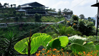3 Wisata Hidden Gem Di Cianjur ini Bakal Manjain Mata Kalian, Para Traveller Merapat Ya!