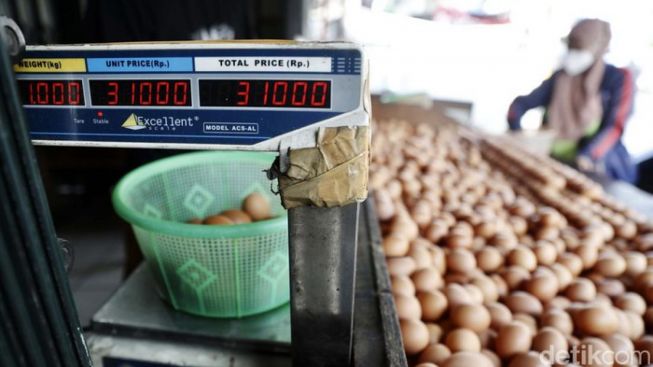 Harga Telur Tembus Rp30 Ribu. Merangkak Sejak Mei Di Level Peternak