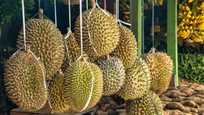 Tidak Banyak yang Tahu, dr.Zaidul Akbar Bongkar Rahasia Orang yang Suka Makan Biji Durian, Rasakan Kulitmu!