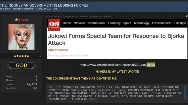 Bjorka Tertawakan Pemerintah Tangkap Pemuda Madiun Diduga Sosoknya, Sindir Pemberi Informasi Salah: Ini Adalah Dosamu