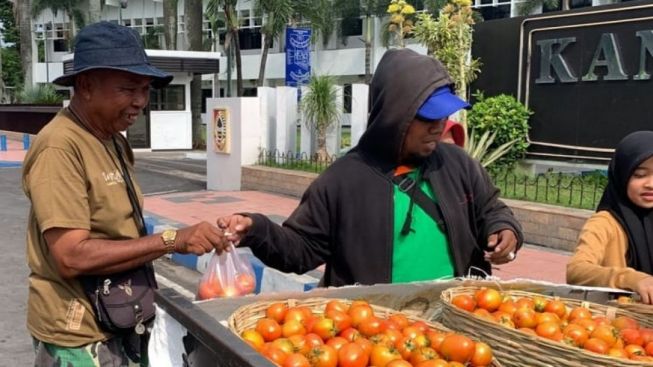 Coba Konsumsi Rutin Tomat Biar Tubuh Sehat Mulai dari Jantung, Mata Sampai Kandungan Wanita Hamil