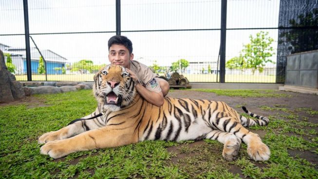 Diterpa Isu Panas, Alshad Ahmad Miliki Hobi Ekstrem Selain Pelihara Harimau, Sampai Ditentang Orang Tua