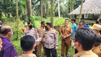 Sidak ke Peternakan Sapi di Langkat, Begini Kata Kapolda Sumut