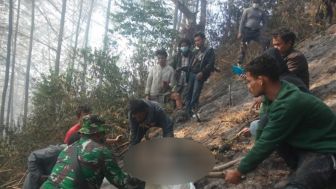 Kebakaran Hutan di Sumut Renggut 1 Korban Jiwa