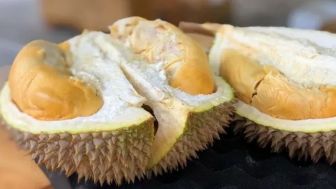Wisata Kuliner di Medan, Tak Lengkap Kalau Belum Cicip Durian