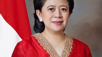 Profil Puan Maharani yang Digadangkan Menjadi Capres di Pilpres 2024