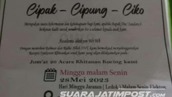 Aneh Tapi Nyata! Warga Banyuwangi Ini Gelar Hajatan untuk Rayakan Khitanan Kucingnya, Undang Tetangga Hingga Hiburan Musik Orkes