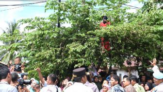 NEKAT BANGET! Seorang Ibu Manjat-manjat Pohon Demi Jokowi