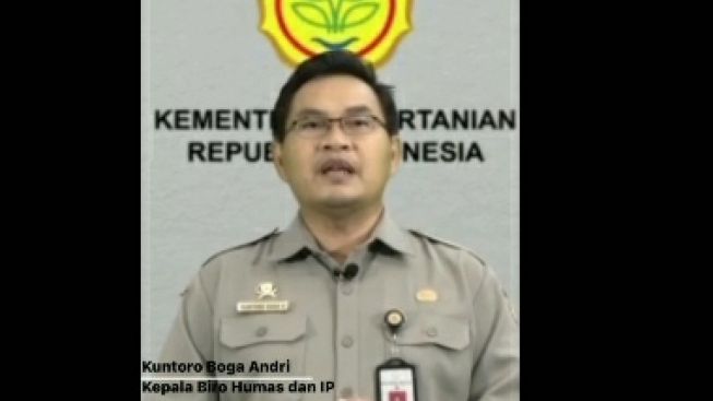 Sapi Diangkut dengan Cara Sadis, Begini Kata Kementerian Pertanian RI