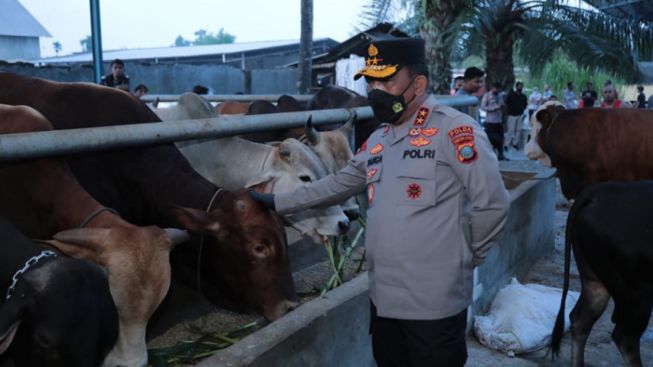 Jelang Idul Adha, Kapolda Sumut Pastikan Hewan Kurban dalam Kondisi Sehat