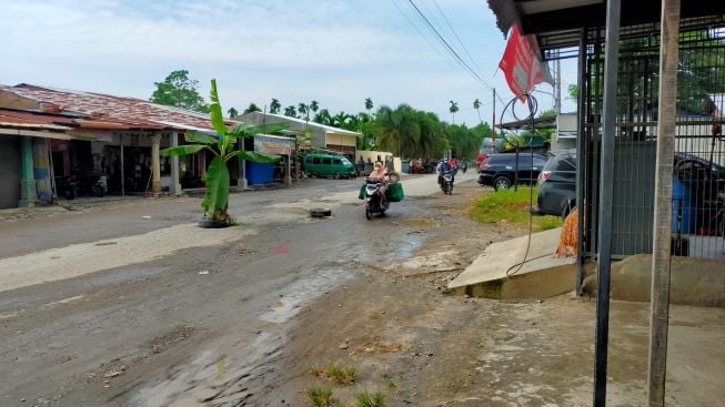 Warga di Sumut Gelar Unjuk Rasa Tanam Pohon Pisang