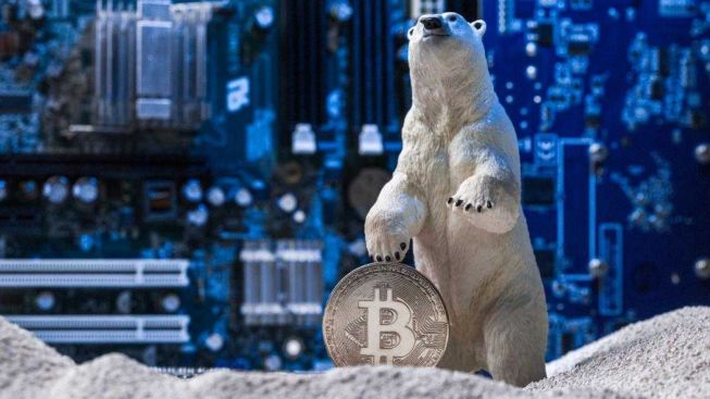 Kerap Disebut Menyusul Bangkrutnya FTX, Apa Itu Crypto Winter?