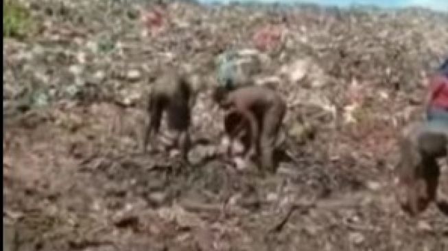 Viral Warga Gali Ribuan Ton Daging Kerbau di Tempat Pembuangan Sampah, Netizen: Kirain Video Vrindavan, Ternyata Konoha