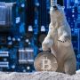 Kerap Disebut Menyusul Bangkrutnya FTX, Apa Itu Crypto Winter?