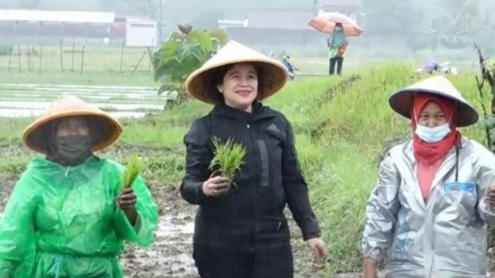 Usai Cemberut Saat Membagikan Kaos, Puan Maharani Kini Dikritik Soal