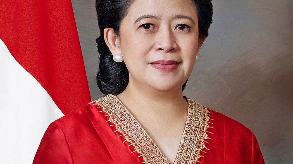 Profil Puan Maharani Yang Digadangkan Menjadi Capres Di Pilpres 2024 6663