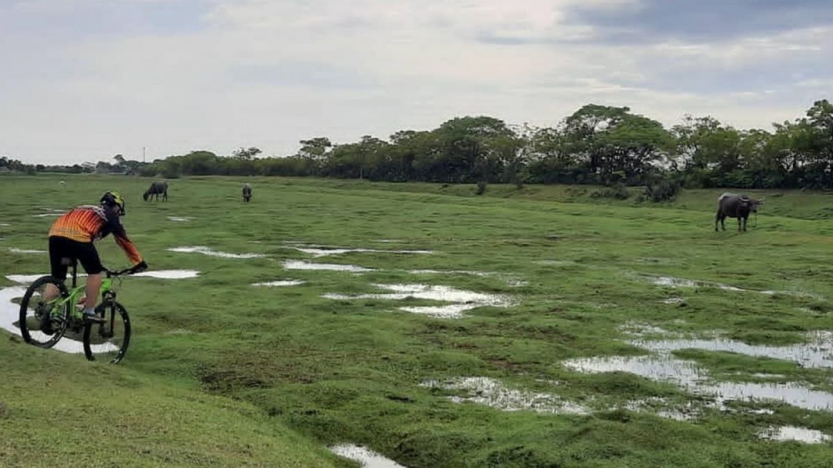Kampung Kerbau Situbondo [Instagram @izzudddd]