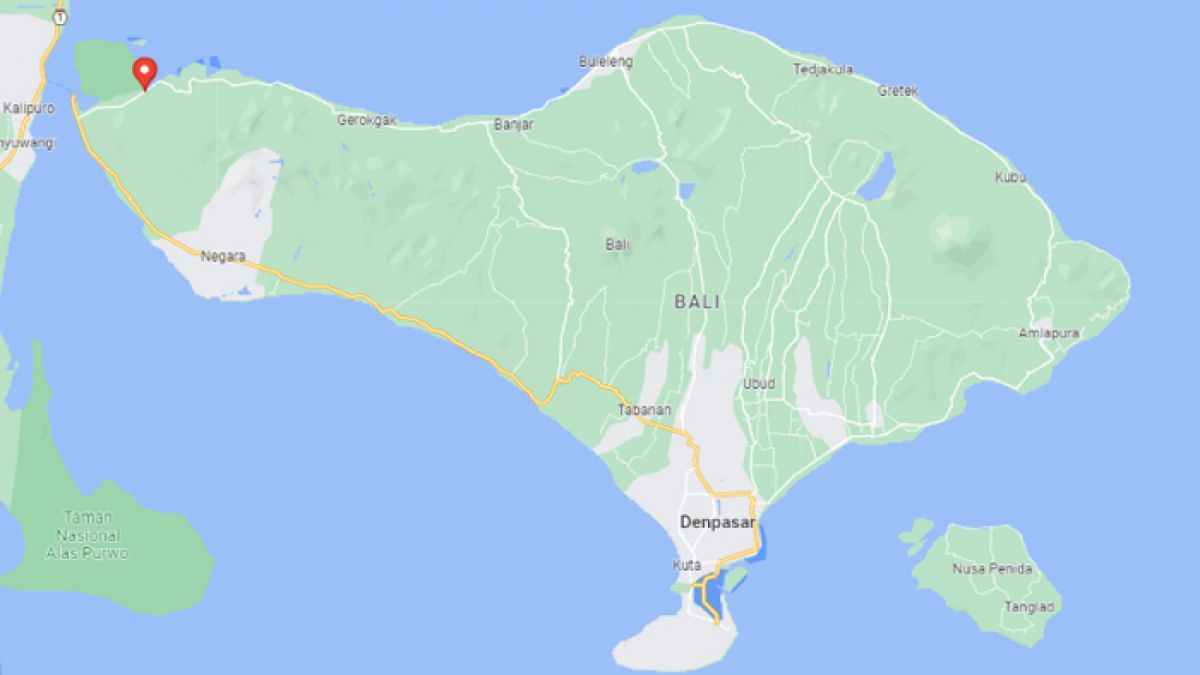 Pantai Teluk Terima (tanda merah) berada di leher burung pada peta Pulau Bali. [Google]